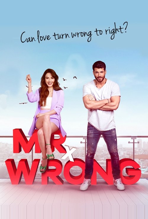 Bay Yanlış (Mr Wrong)